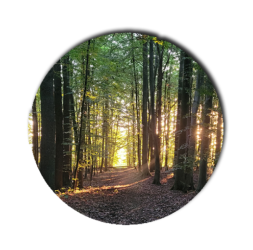 Lueur de Fleurs, Rostock, Monique Kossel, wandern, naturverbunden, achtsame Naturauszeiten